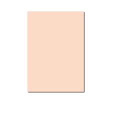 Цветная бумага Lomond А4 для печати на принтере, 80г/м2, персиковый